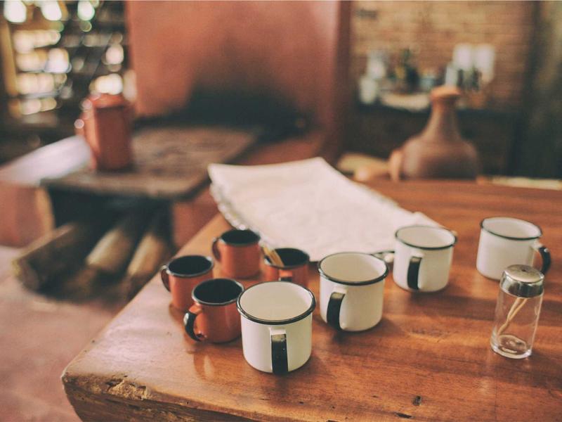 Riego eficiente: cómo ahorrar agua en tu jardín durante el estiaje